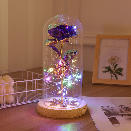 Starry Nightlight Rose Dome